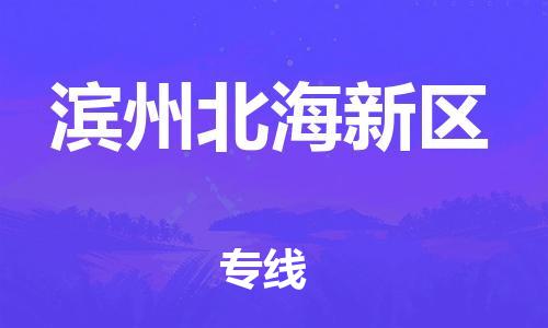 邯鄲到濱州北海新區物流公司-行李托運專線-全境閃送